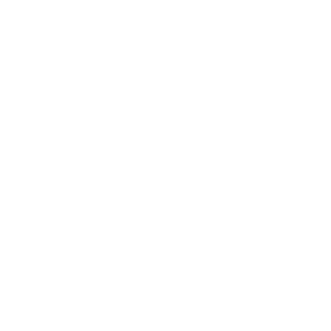 logo vrieling adviesgroep